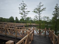 -溱湖国家湿地公园