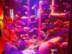 -沈阳海洋探索中心