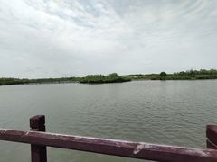 -西青郊野公园