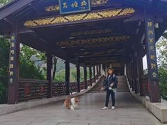 -长广溪湿地公园