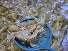 -聚盛源蒸汽海鲜火锅烤肉自助(巨川金海岸购物广场店)