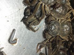 -欢乐牧场海鲜烤肉自助(牡丹园店)