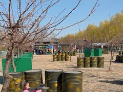 -兴芮温泉度假区