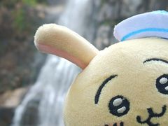 -姑婆山旅游区