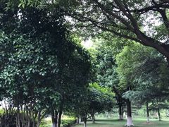 -暨阳湖生态园