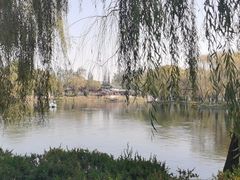-百脉泉景区