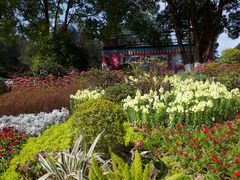 -铁山坪森林公园