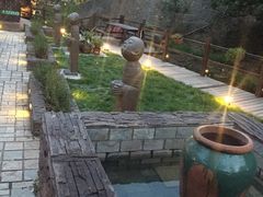-Local泰莲庭(虹鳟鱼店)