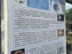 -青藏高原野生动物园