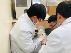 -全心全意连锁动物医院·微创中心·内科急重症·心脏专科(丰管路店)