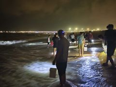 -日照灯塔风景区