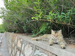 -北京西山国家森林公园