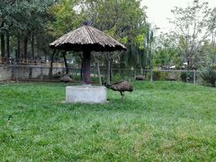 -石家庄市动物园