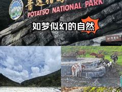 -普达措国家公园