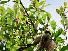 -白沙门生态公园