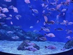 -成都浩海立方海洋公园