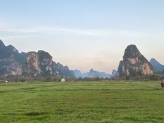 -明仕田园