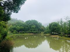 -黄陂区野村谷景区