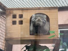 -青藏高原野生动物园