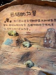 -奇幻萌宠部落(映月湖环宇城店)