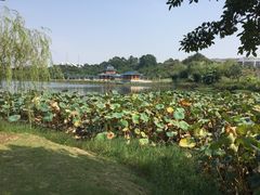 -福州大学(旗山校区)