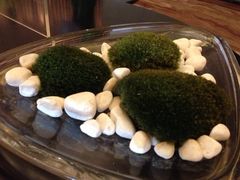 iphone_upload_pic-厦门威斯汀酒店