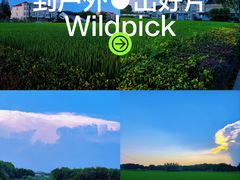 -暮谷MUGO ·团建聚会·露营烧烤·生日派对·共享菜地