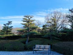 -名古屋城