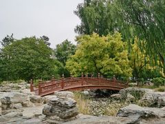 -莲花池公园
