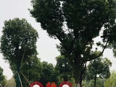 -九科绿洲