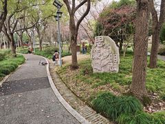 -陈家山荷花公园