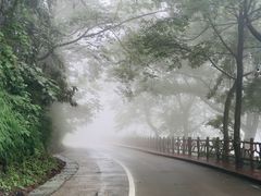 -广州市石门国家森林公园