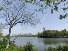-成都南湖公园