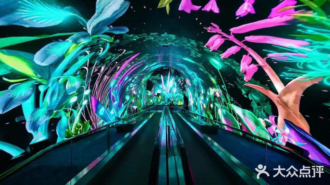 正佳极地海洋世界，打卡180°水晶海底！