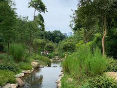 -云溪植物园