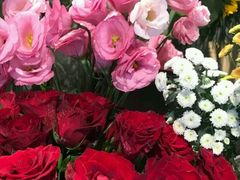 -植物学家的女儿(北马道巷店)