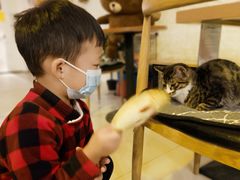 -平行世界·猫咖(首经贸店)