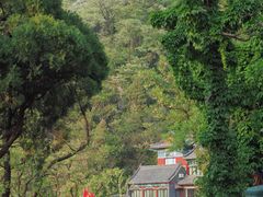 -泰山风景名胜区