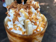 -Fern Forest Cafe