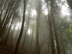 -井冈山风景名胜区-黄洋界