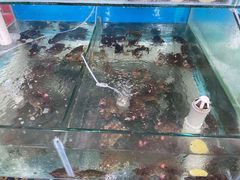 -海之味海鲜大咖·家常菜