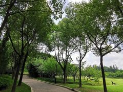 -上海市龙华烈士陵园