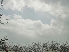 -望海·帆船主题咖啡厅•品茗下午茶(石湖景区店)
