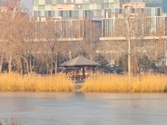 -大兴滨河森林公园