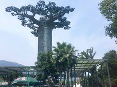 -苏州乐园森林水世界