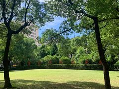 -上海交通大学医学院附属瑞金医院(总院)