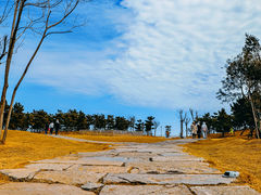 -小麦岛公园