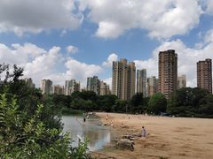 -青枫公园