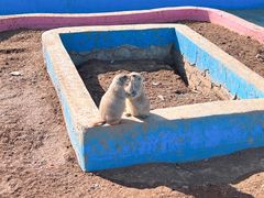 -宿豫区运河湾森林动物园