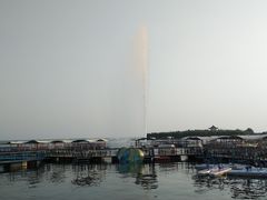 -焦岗湖旅游度假区